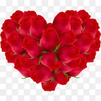 ����õ�廨�ز�-������