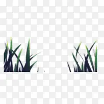 道路两边的小草-空若网 道路两边的小草-空若网