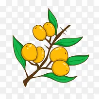 沙棘果 卡通手绘-空若网 沙棘果 卡通手绘-空若网