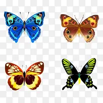 ��ɫ����PNGͼƬ-������