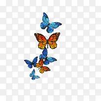 镂空彩色装饰彩色蝴蝶-空若网 镂空彩色装饰彩色蝴蝶-空若网