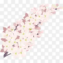 风铃花 薰衣草-空若网 风铃花 薰衣草-空若网