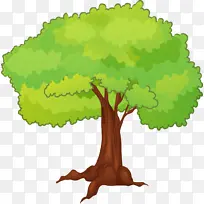 ��ͨ�廭����-������