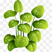 插画卡通绿植-空若网 插画卡通绿植-空若网