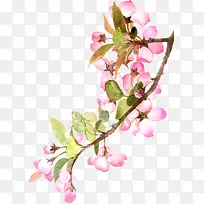 水墨粉色水彩花-空若网 水墨粉色水彩花-空若网