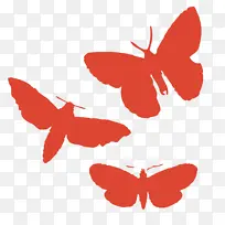 昆虫蝴蝶印-空若网 昆虫蝴蝶印-空若网