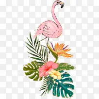 ��ͨ�ֻ������ֻ������-������