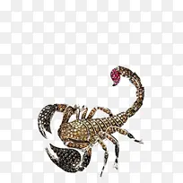 ��ʯЫ��-������