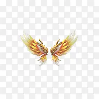 游戏金色炫酷翅膀-空若网 游戏金色炫酷翅膀-空若网