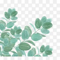 叶子水彩效果1-空若网 叶子水彩效果1-空若网