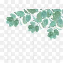 叶子水彩效果2-空若网 叶子水彩效果2-空若网