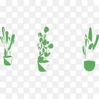 扁平仙人掌三株-空若网 扁平仙人掌三株-空若网