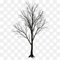 ¹ØÓÚÊ÷µÄ¸÷ÖÖËØ²Ä3-¿ÕÈôÍø ¹ØÓÚÊ÷µÄ¸÷ÖÖËØ²Ä3-¿ÕÈôÍø