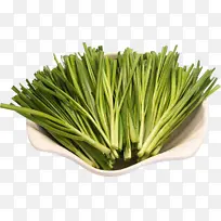 新鲜的生韭菜-空若网 新鲜的生韭菜-空若网