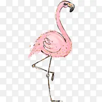 卡通手绘火烈鸟1-空若网 卡通手绘火烈鸟1-空若网