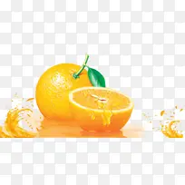 手绘逼真桔子-空若网 手绘逼真桔子-空若网