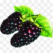 �ֻ����±���ˮ��-������