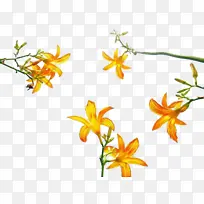 ÍüÓDzݿ¨Í¨-¿ÕÈôÍø ÍüÓDzݿ¨Í¨-¿ÕÈôÍø