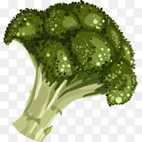 插画风西蓝花-空若网 插画风西蓝花-空若网