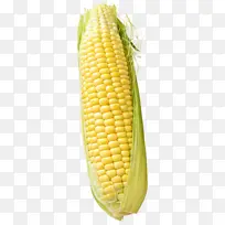 ����ʳ����ʳũ����-������