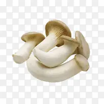 Ģ�� ���� �߲� �� ����-������