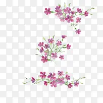 ˮ��Ұ������-������