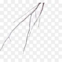 ��ͺͺ��ɫ��֦-������