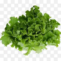 蔬菜生菜绿色-空若网 蔬菜生菜绿色-空若网