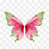 彩色展翅手绘蝴蝶-空若网 彩色展翅手绘蝴蝶-空若网