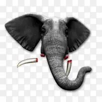 野生动物大象-空若网 野生动物大象-空若网
