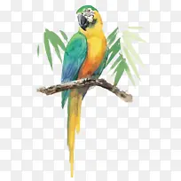 Ê÷Ö¦ÉϵÄðÐðÄ-¿ÕÈôÍø Ê÷Ö¦ÉϵÄðÐðÄ-¿ÕÈôÍø