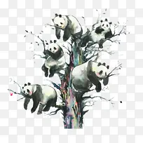 ��֦�ϵ���èͼ��-������