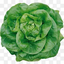 青菜 蔬菜 包菜-空若网 青菜 蔬菜 包菜-空若网