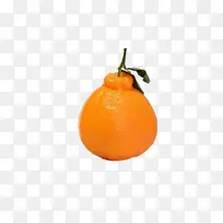 ����ˮ��ʳ��-������