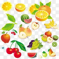 一堆水果 卡通水果-空若网 一堆水果 卡通水果-空若网