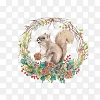 手绘卡通小松鼠-空若网 手绘卡通小松鼠-空若网