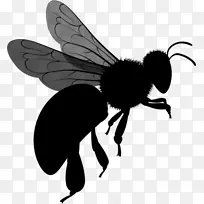 �۷��ɫ��Ӱ-������