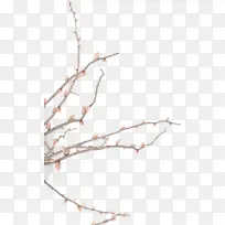 СÇåÐÂÊ÷Ö¦»¨¶ä-¿ÕÈôÍø СÇåÐÂÊ÷Ö¦»¨¶ä-¿ÕÈôÍø