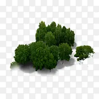 树木 绿树 俯视树 树元素-空若网 树木 绿树 俯视树 树元素-空若网