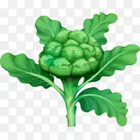 青菜 西蓝花 蔬菜-空若网 青菜 西蓝花 蔬菜-空若网