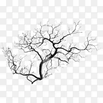枯藤树枝枝桠-空若网 枯藤树枝枝桠-空若网