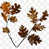 ����������-�＾-������