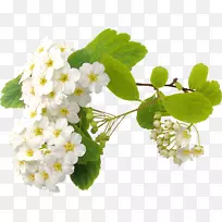 相框下载-锥-空若网 相框下载-锥-空若网