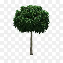 树,装饰物,绿色树-空若网 树,装饰物,绿色树-空若网