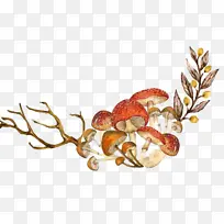 树枝花朵蘑菇PNG装饰-空若网 树枝花朵蘑菇PNG装饰-空若网