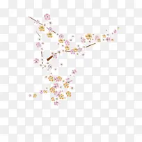 ��֦���仨֦-������