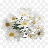 白色花束元素-空若网 白色花束元素-空若网