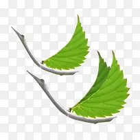 树枝树叶两片-空若网 树枝树叶两片-空若网