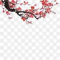 鲜艳漂亮的桃花-空若网 鲜艳漂亮的桃花-空若网