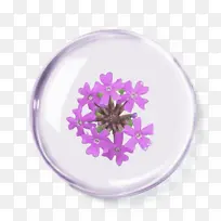 �������޲�Ԫ��-������